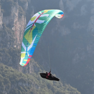 Parapente BGD Lynx 2