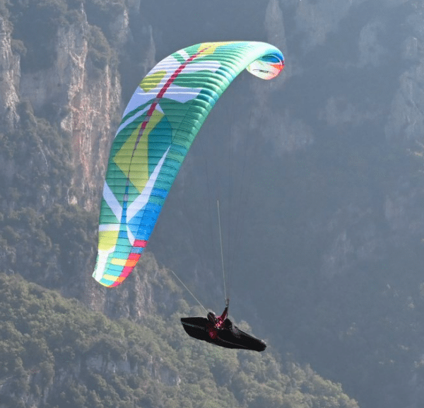 Parapente BGD Lynx 2
