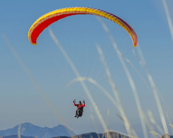 Parapente NOVA Ion 4 (M)